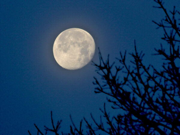 Morning Moon